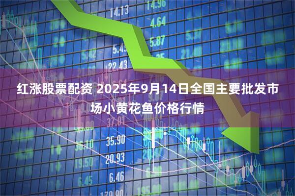 红涨股票配资 2025年9月14日全国主要批发市场小黄花鱼价格行情