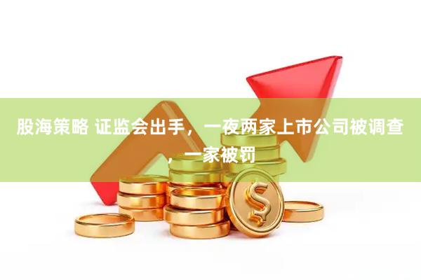 股海策略 证监会出手，一夜两家上市公司被调查，一家被罚